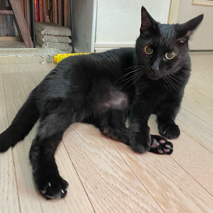 Ee3dcae5 b03e 4f0b bb9f f185d0b1253a 1742107909856