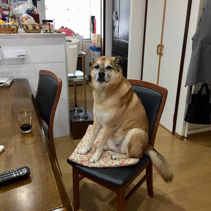 Ee3dd84b 42e9 4fc7 be62 13ca5f0c1316 1589409524145