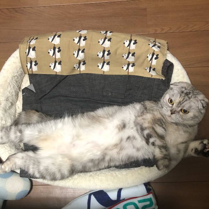 Ee3e5719 de77 4b94 9194 d9ef8700bd51 1592736586141