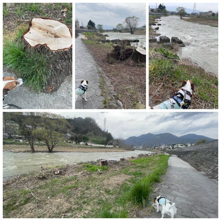 Ee3ea3f8 0cbb 47b7 b130 b70fe59d524b 1745208015627