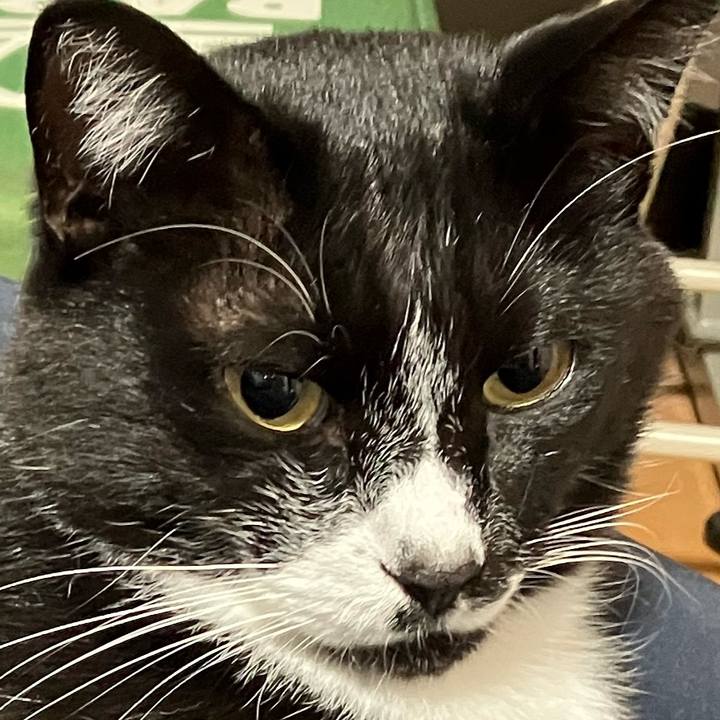 Ee3eafa5 7ff3 48e9 9f08 0b950b1c91d6 1668923353619