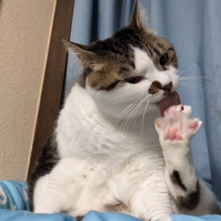 Ee3eb158 e308 41fe b172 d3122fcf0627 1713181523524