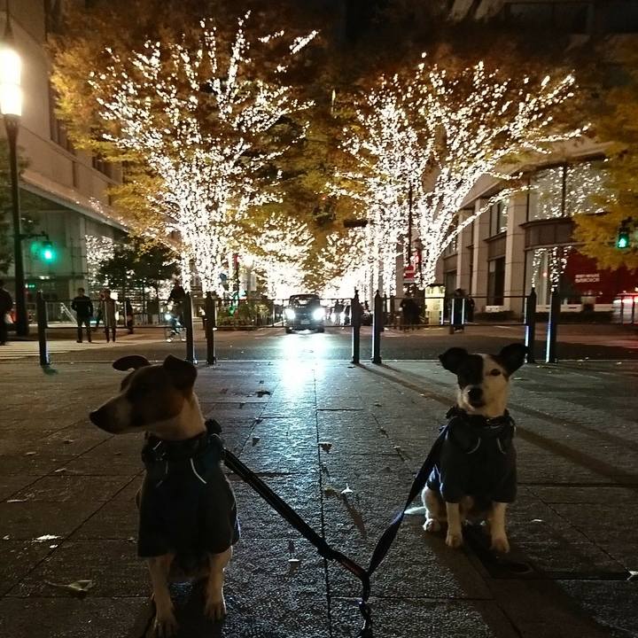 Ee3ebfd5 22c7 41a4 ba70 439186c37965 1543680071617