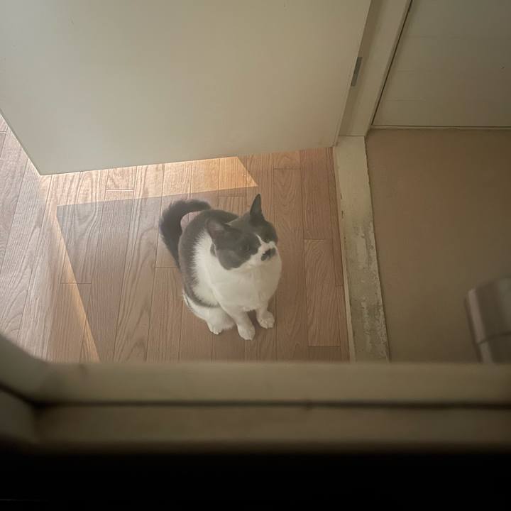 Ee3ed1a7 d0af 4339 add0 3997c81943b5 1732866693682