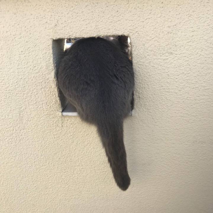 Ee3ee9c8 2edf 46fa 8642 f11e89732064 1546744167908