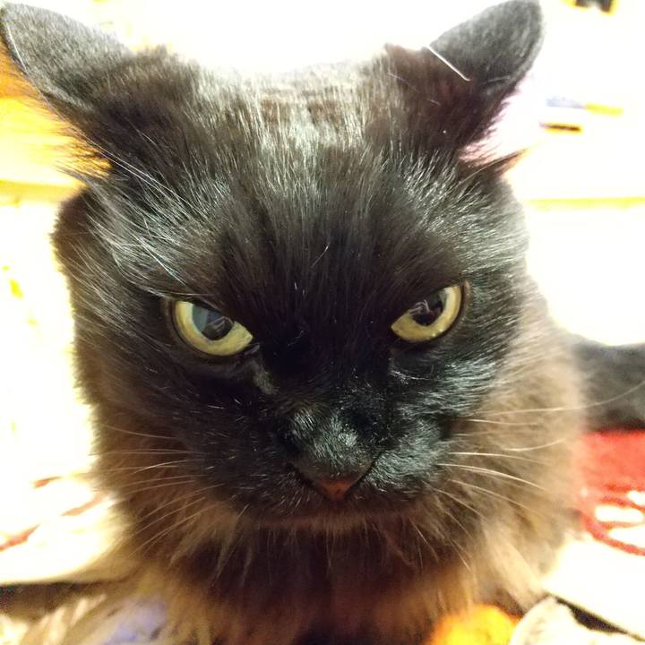 Ee3eed3b c3d6 4530 931a 5c82e9fe6214 1579955201498