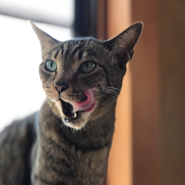 Ee3eef7f bcf1 454a bfbe d21b395c30a2 1525051684301