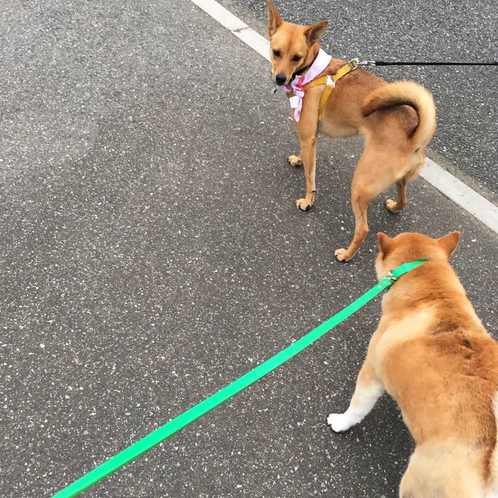 Ee3ef854 0bc5 482e 8c00 ddaa0880bcac 1600591708748