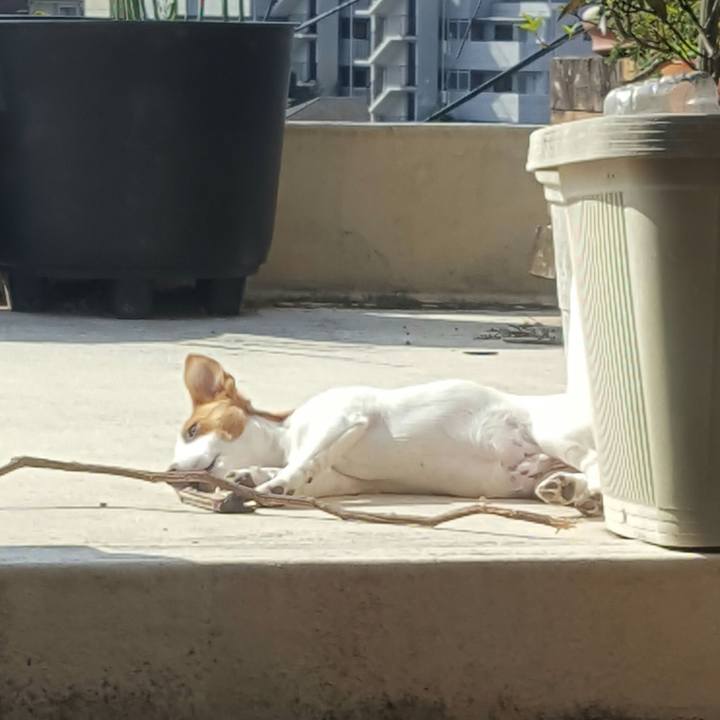 Ee3f09ad adf8 441b 864a ac9c60513fb1 1555715967836