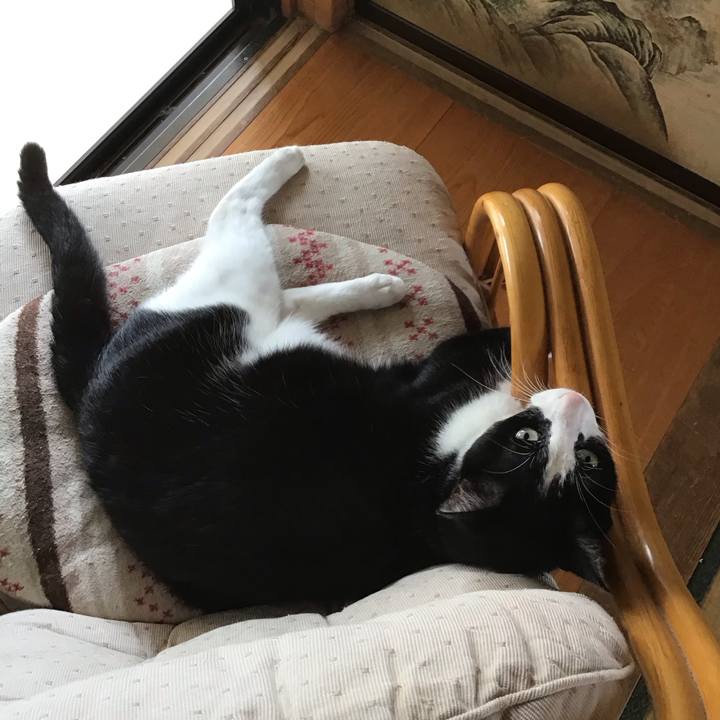 Ee3f1f0d 41af 4f5c 8040 fce87996ffd3 1751804042304