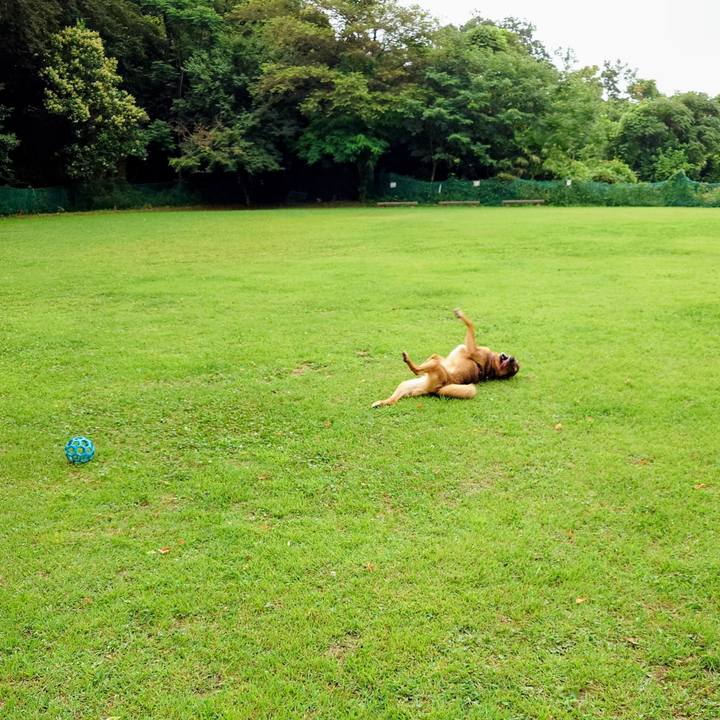 Ee3f33e5 8518 459e 874e 125b71e8d548 1751680831630