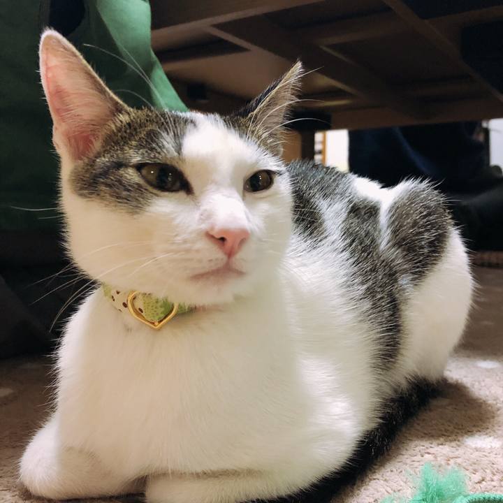 Ee3f5b13 617a 4a32 b594 8905f3d3d498 1575278339902