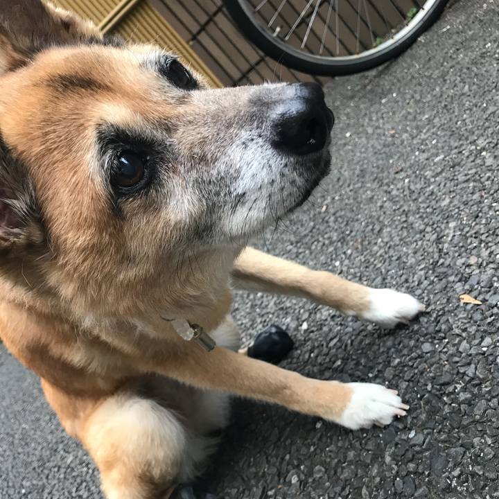 Ee3f68e3 63cf 4a87 bb52 864b5afeb19d 1533212512804