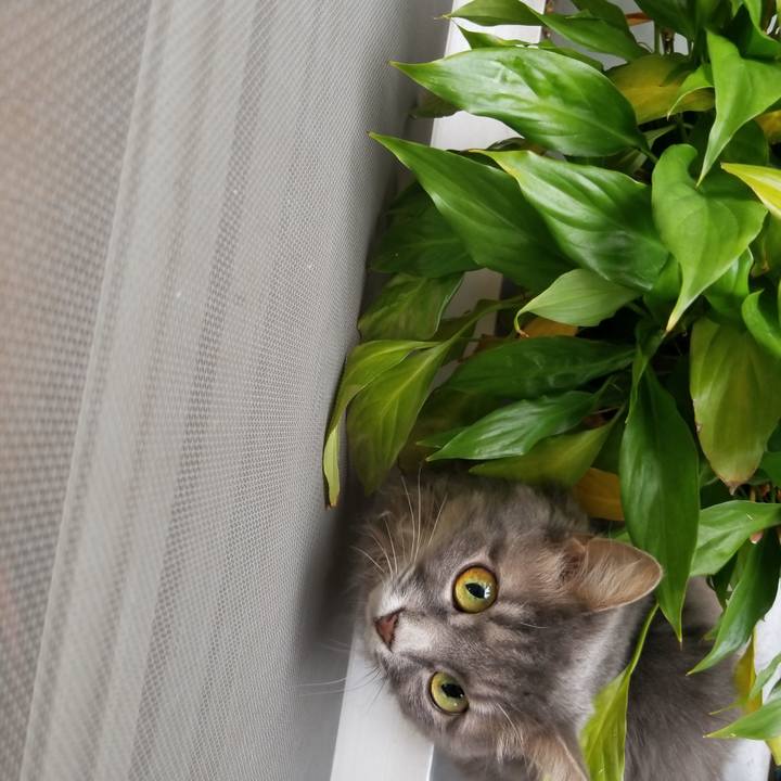 Ee3f8b8a 3300 4bb1 a461 7c1e0234a64e 1536986131856