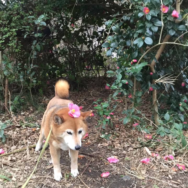 Ee3f9093 541e 470d bfb6 53a9ae5171bd 1614931169297