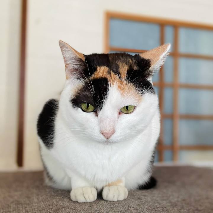 Ee3fa953 3378 4485 9684 3b1ef650b671 1619748279423