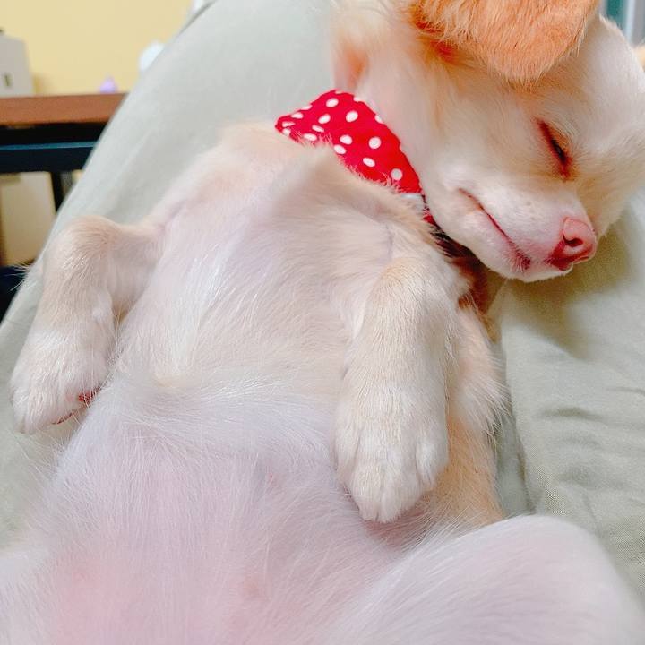 Ee3fd66a c744 44a8 88af b2b928ee09a9 1627821467599