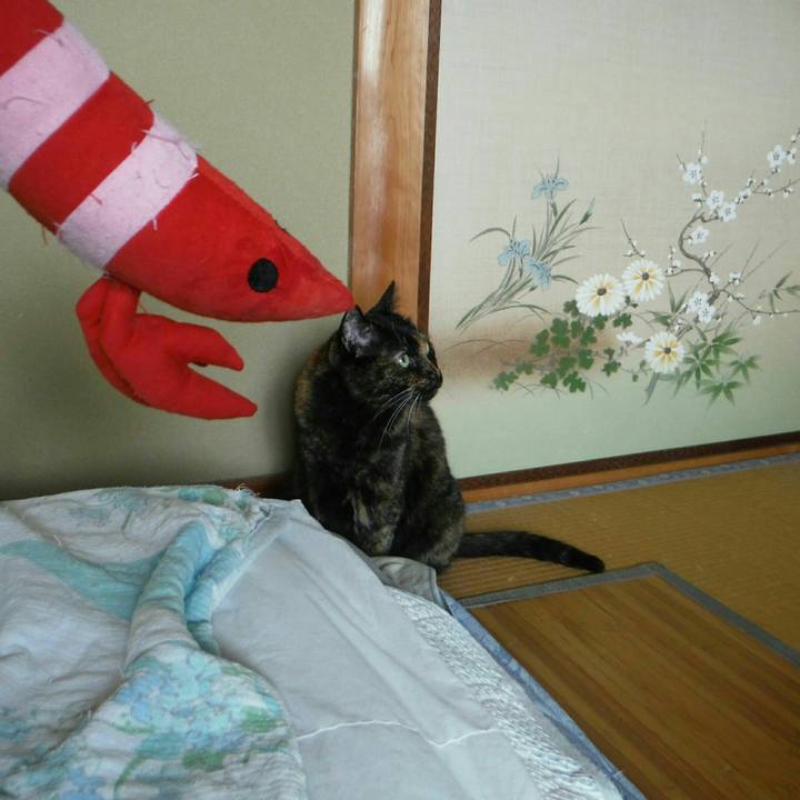 Ee3fe642 6f2f 4a5f aaf8 02bc2d073a2e 1570771168067