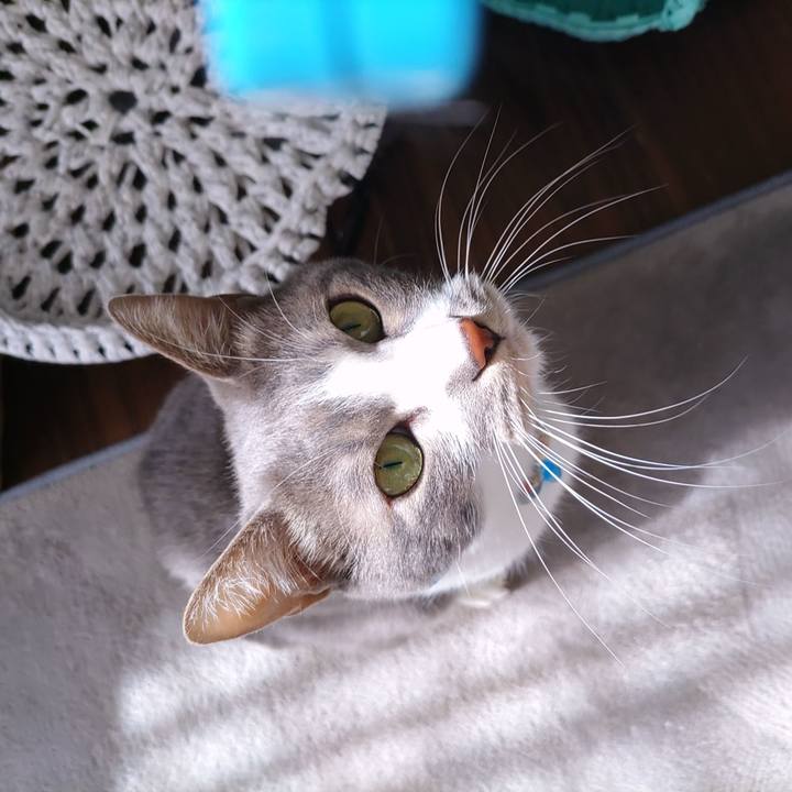 Ee3feea7 e772 49d9 ab8b 019db9bf768f 1700882643677