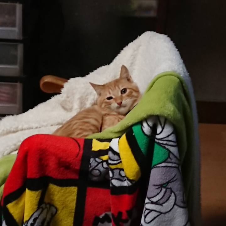 Ee3fef8d 098f 4d36 a876 0e6dd7873ab8 1634606457077