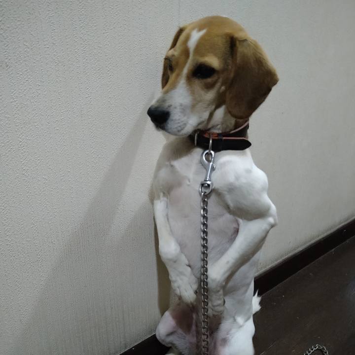 Ee3ffe1c c041 4b17 87b1 50c97e53975b 1639748831069