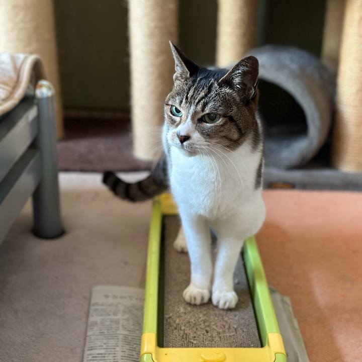 Ee401704 9237 4e38 9754 64dd31b957e2 1679970470370