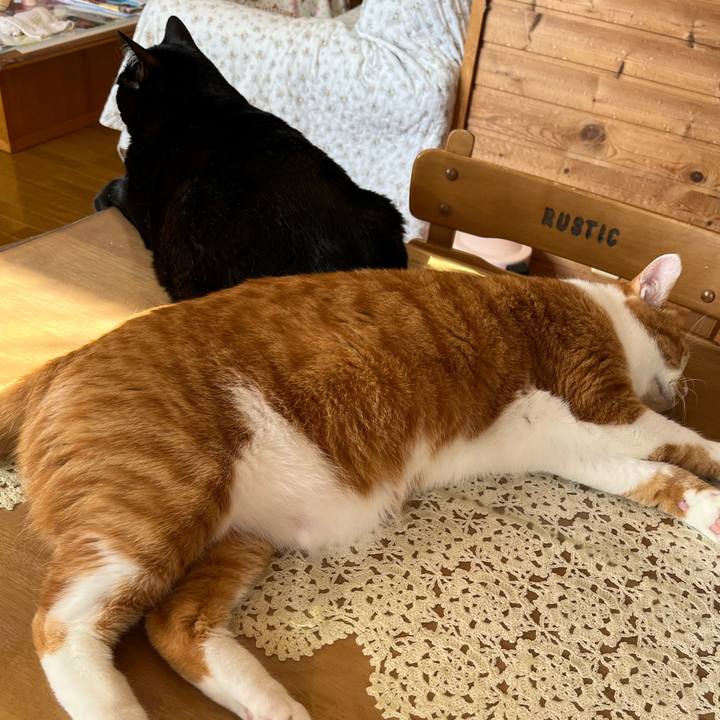 Ee402896 511a 464e 9880 dfc27ac4e0b9 1698200883198