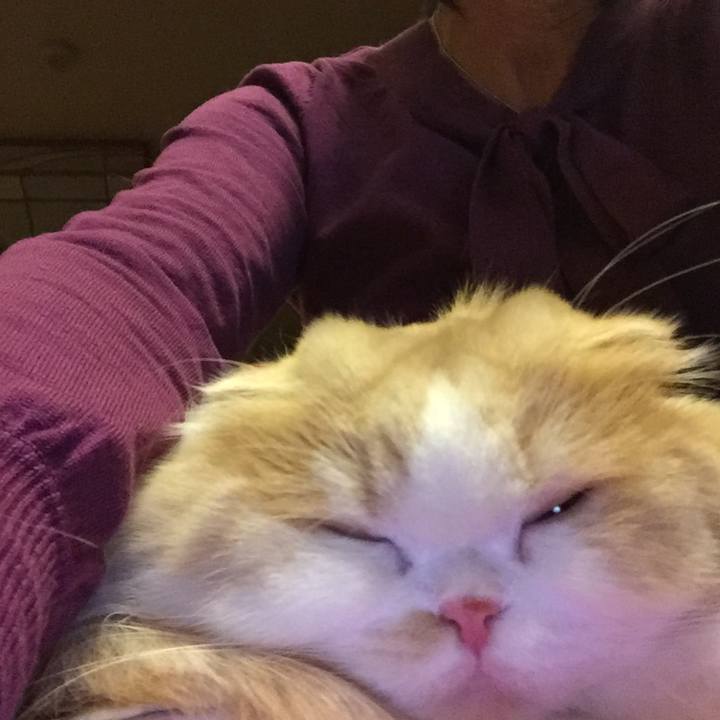 Ee402ee9 968e 49be 91b4 bcb88015d8e9 1510321768071