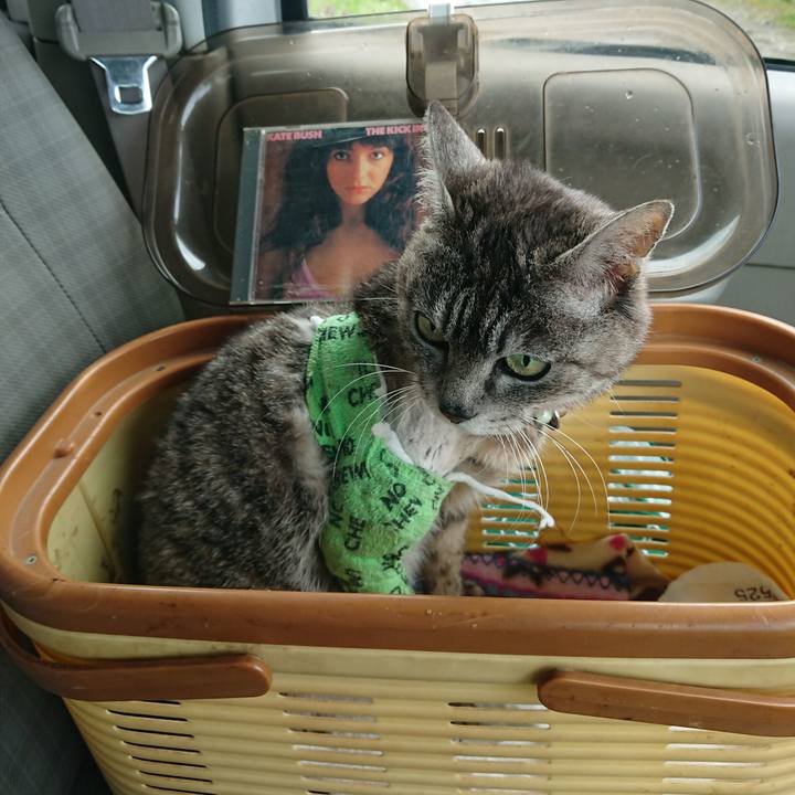 Ee40352d a5cb 4a6a abbd dcae490ea05e 1587622164896