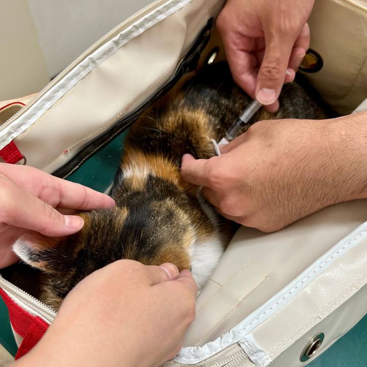 Ee40d650 d439 4a82 b53d 55c2b9a0a10c 1686393310012