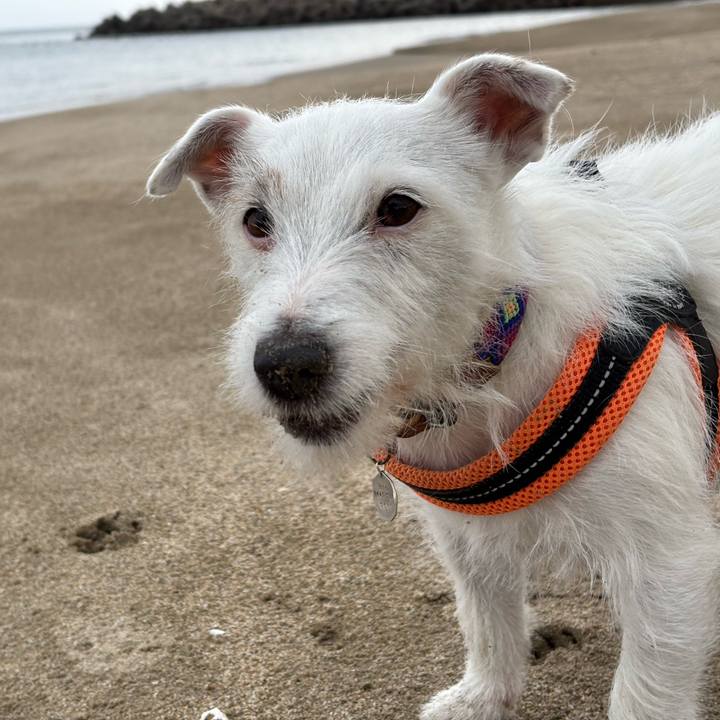 Ee40e017 3664 4e92 ba3e 03e7afebf4ea 1768546613093