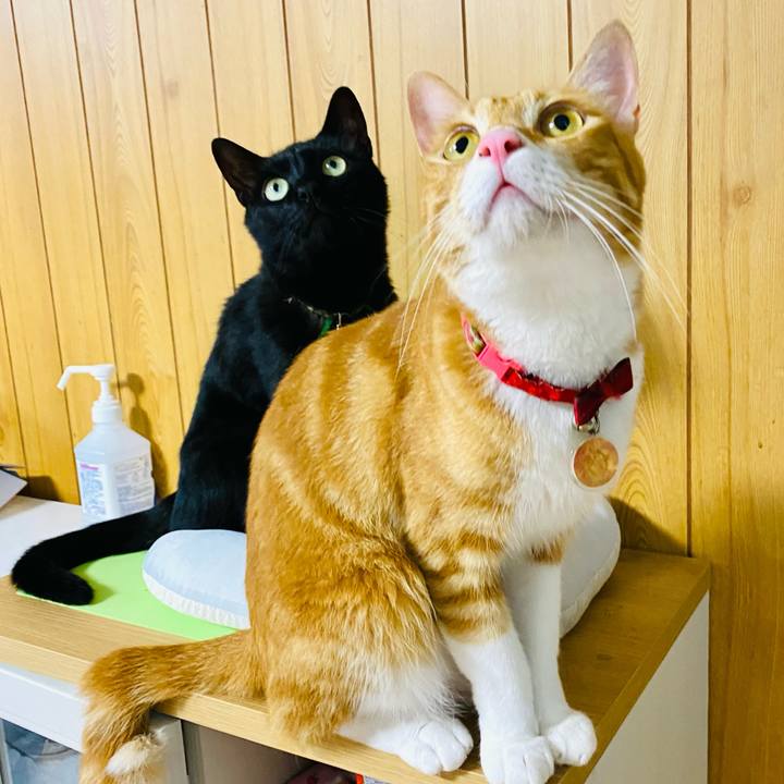 Ee40eb03 45b5 4971 bdbb 374fcb4fd045 1688647959667