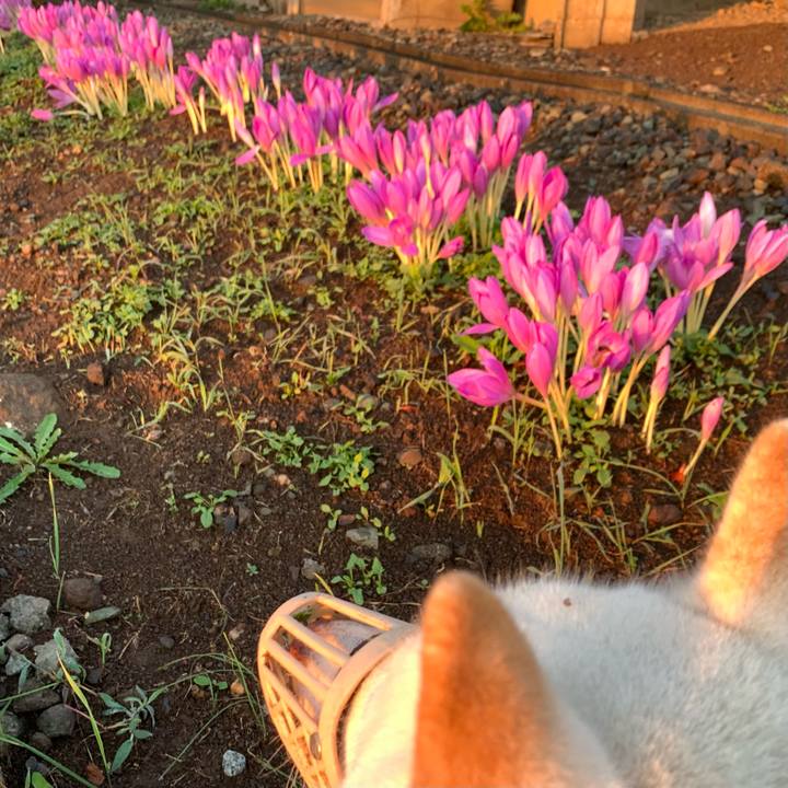 Ee413320 c33f 4378 b58e 91777c4a6f28 1633387710894