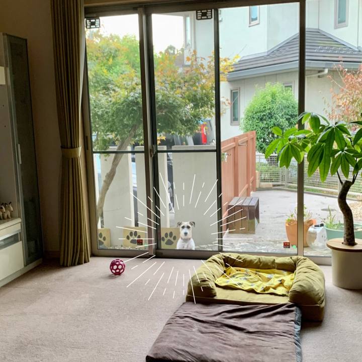 Ee413428 53da 48ce bcb3 285d6a1d6004 1667473184939