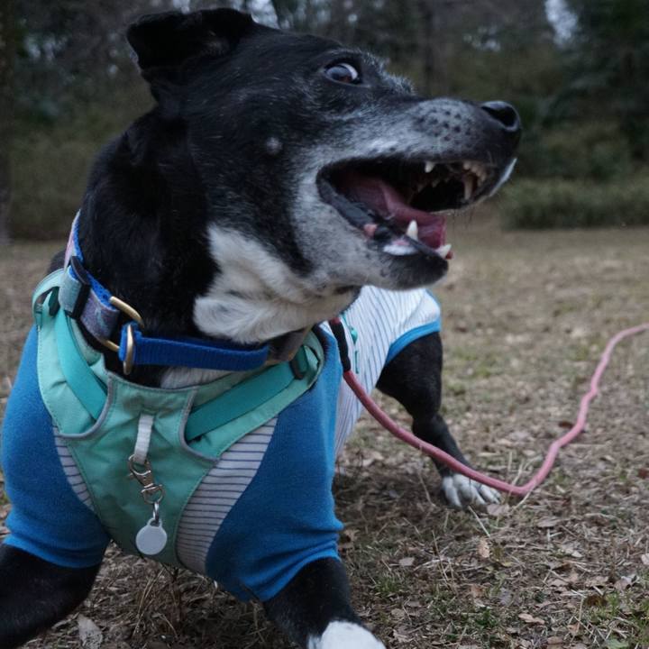 Ee413d76 9ea3 41b9 8b6d c5ee6212355d 1770424681399