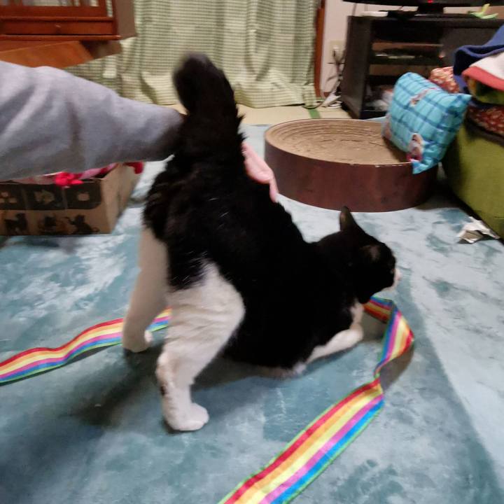 Ee414a22 ba87 4003 978d cd571da8b610 1678937194791