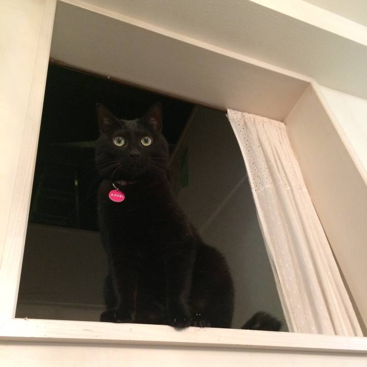 Ee414e4e a28a 4040 8ddd b21aa2973ec5 1515053914026