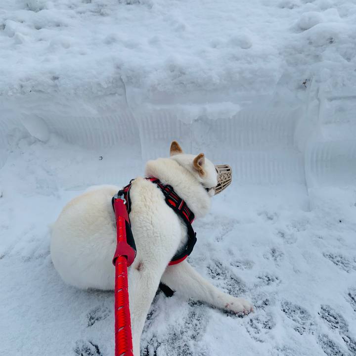 Ee4179c2 f9b9 4364 83e2 446c2ecaa6c5 1642483768513