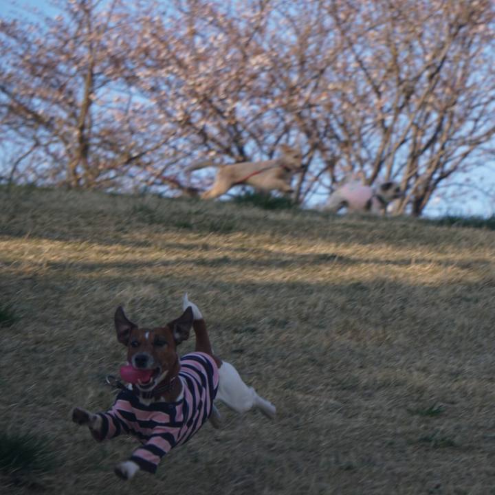 Ee41c106 629c 420e 8801 3482189d7752 1585089618567