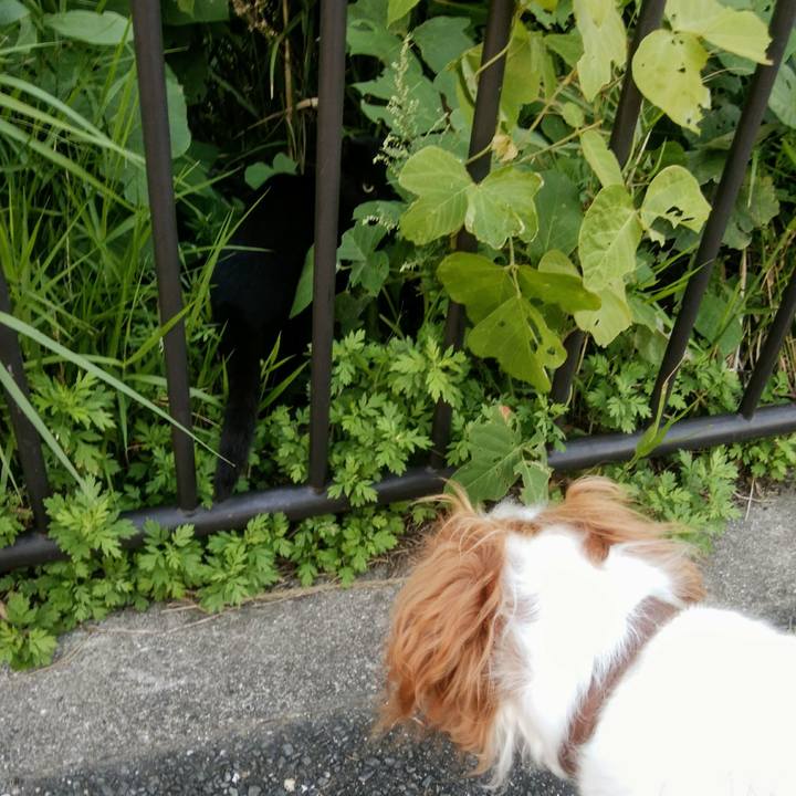 Ee4221ad 396d 496d 8b7f 366f7e92e0b6 1539344164267