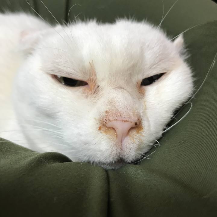 Ee42497c a008 4b2a b93d 39421e7307e2 1517550549242