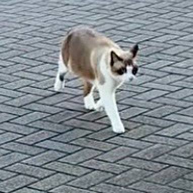 Ee42641a 9ed8 4500 8ac6 102efc485900 1761724360205