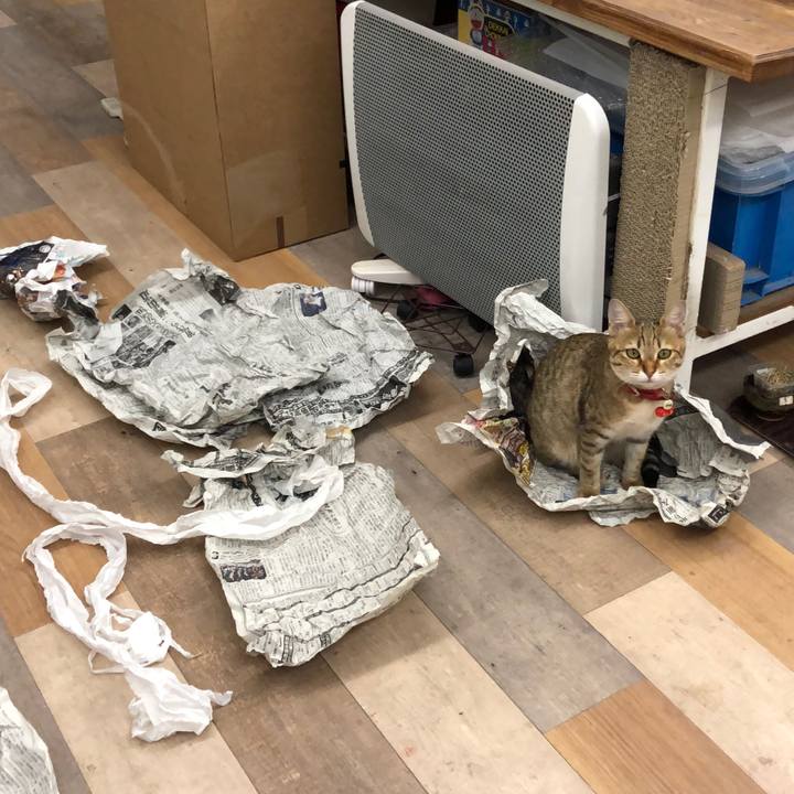 Ee42707a 0938 4326 9d45 8b526aa7453c 1587611502672