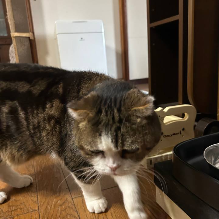 Ee428a96 b95d 4519 824b 768ad0e0afe6 1774566516684