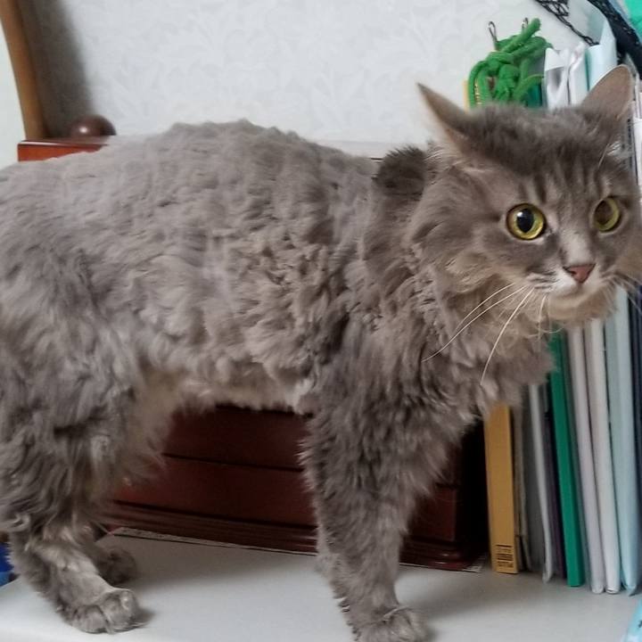 Ee42d086 e359 4652 9a6b 8eb71a25218b 1559739893292