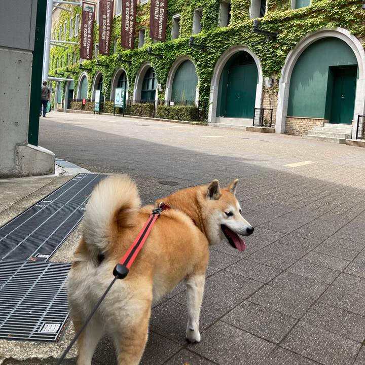 Ee42d87a 76d8 4c50 acd2 8ab0d3ce742e 1625044460539