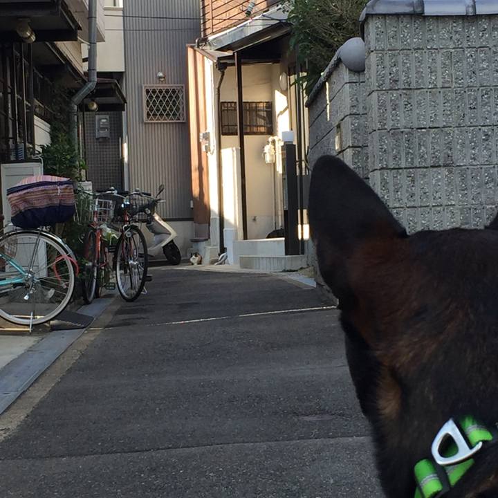 Ee430045 26b7 43c3 8f3e 9fe51f3f71a1 1541575450185