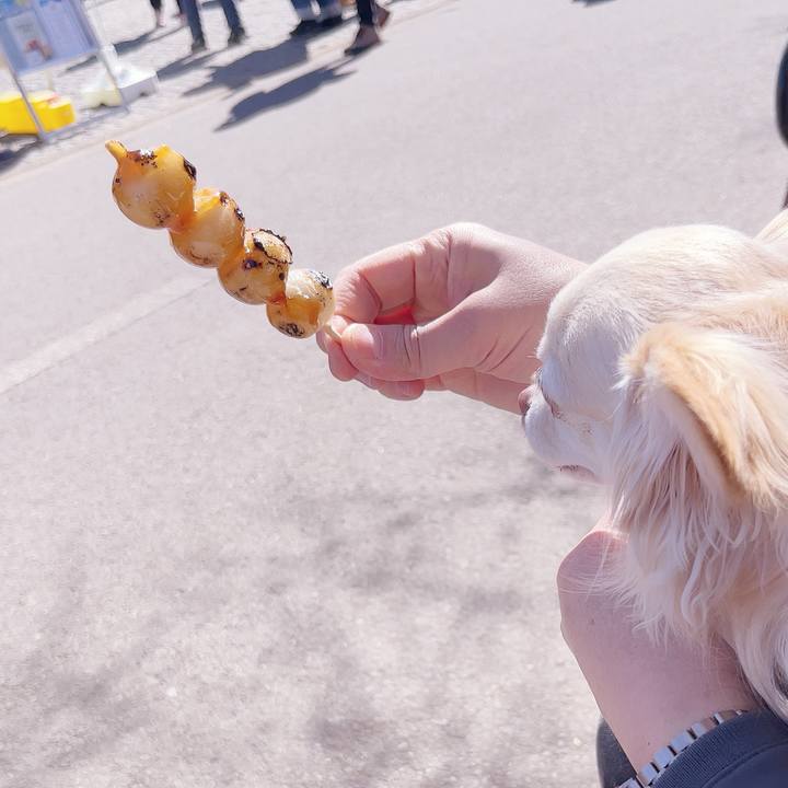 Ee430133 0392 4aa2 b1f1 3367978b9875 1740368990536