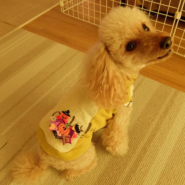 Ee43149e 19c1 4dbe 9ad5 c5474188a95e 1604100671152