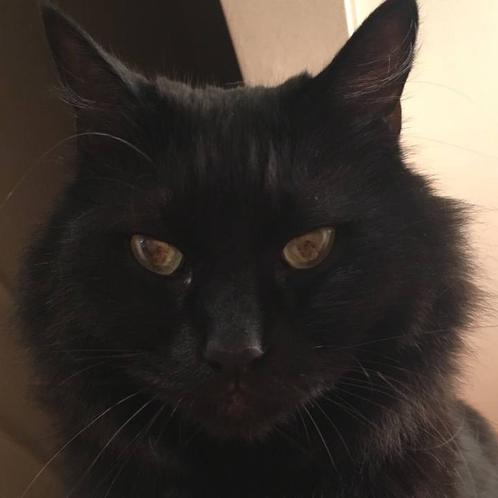 Ee431e86 32a2 4051 a34b 5c3e4cfd3b9f 1532266782528